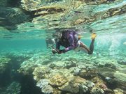 Reef Club Ququruの写真2
