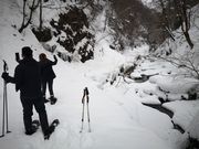 白神山地ガイドGURIの写真2
