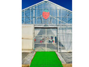 Mori's Farmの写真2
