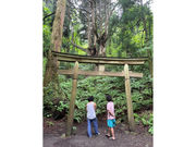 ELVES clothing storeの写真4