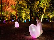 チームラボ ボタニカルガーデン 大阪の写真2