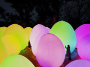 チームラボ ボタニカルガーデン 大阪の写真3