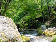 PLUS ALPHA SAUNA-OKUTAMA-の写真3