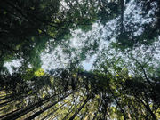 PLUS ALPHA SAUNA-OKUTAMA-の写真4