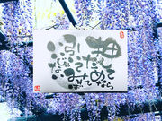 己書はるかぜ道場 かさま井筒屋幸座の写真3