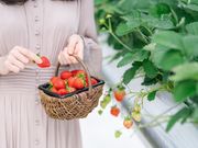 Sky Flora Farmの写真4
