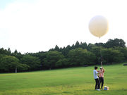 Chartの写真2