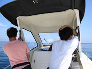 Chartの写真3