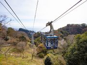 日本平ロープウェイ売店 門前の恵み たいらぎの写真2