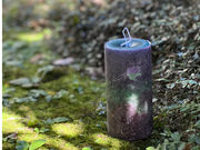 Arbre Candleの写真4