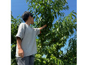 The Little Beeの写真3