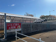 山本園芸いちご園の写真2