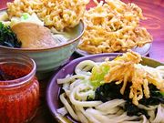 手打ちうどんムサシの写真1