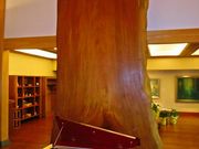 アドリア 北出丸カフェの写真1