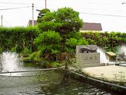 鯉の六十里の写真1