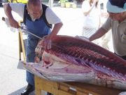 築地すし鮮 恵比寿東口店の写真1