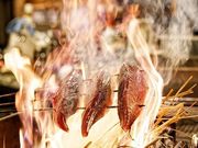 藁焼き鰹たたき 明神丸 岡山本町店の写真1