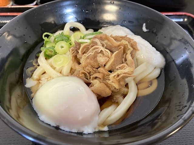 讃岐うどん はやしの写真1