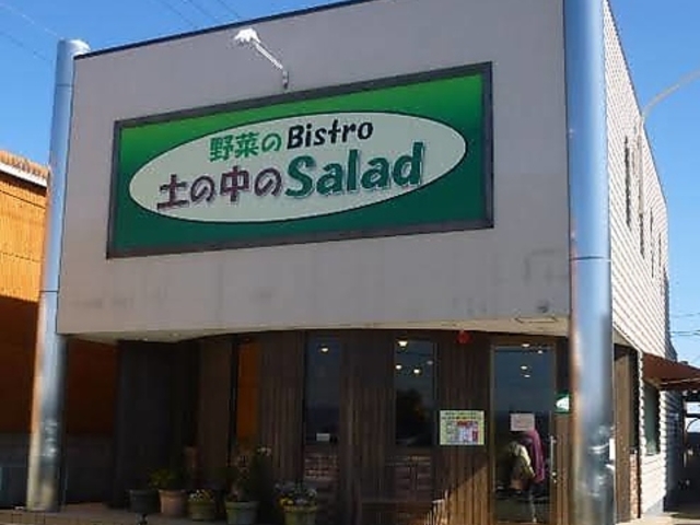 土の中のSaladの写真1