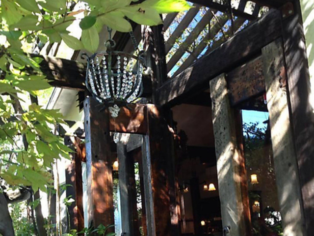 寿樹 ジュジュの写真1