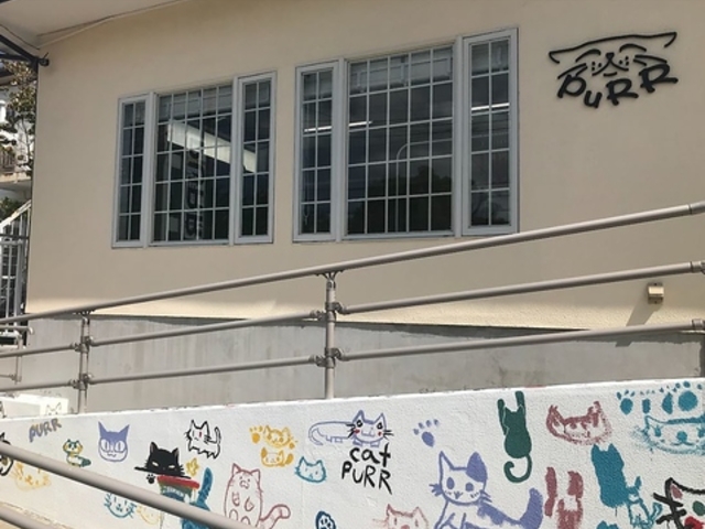 purr パーの写真1