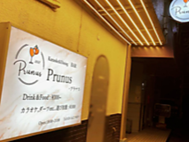 Prunus プラナスの写真1