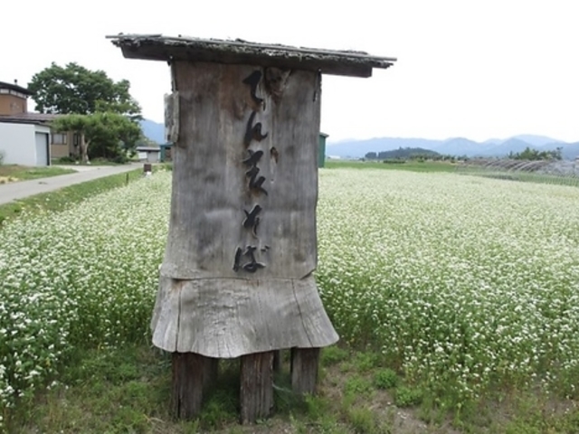手打ち でん吉そばの写真1