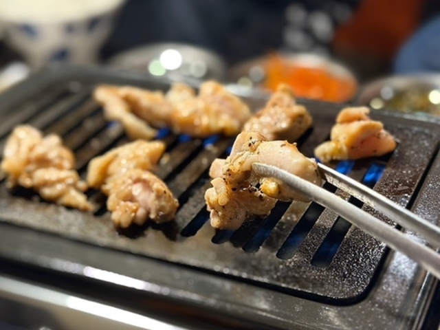 トリノヒの写真1