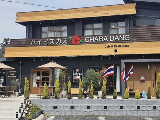 ハイビスカスCHABADANGの写真1