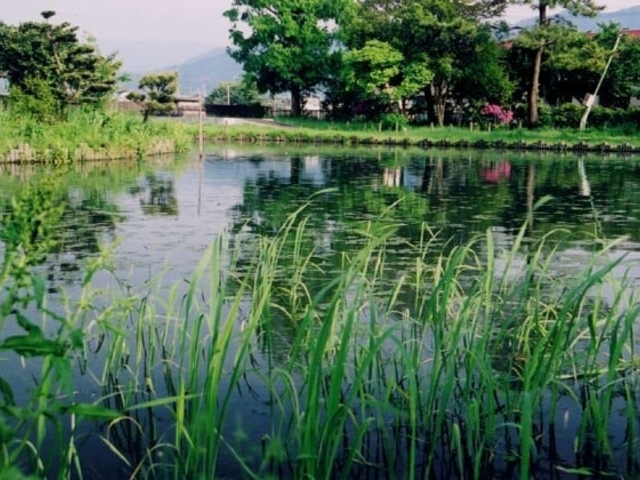 鏡が池の写真1