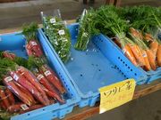 小富士物産直売所「愛菜」の写真2