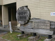 コロナ運動公園の写真1