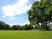 万博記念公園の写真3