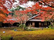 万博記念公園の写真4