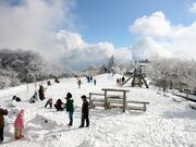ちはや園地金剛山キャンプ場の写真2