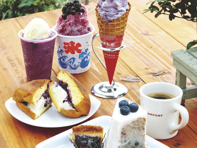 観光農園ブルーベリーの村