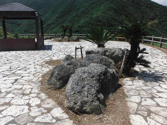 戸円ふれあいパークの写真1