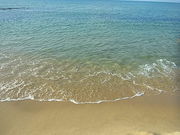 琴引浜遊海水浴場の写真3