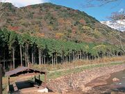 国見湖畔公園の写真1