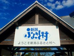 新潟ふるさと村【チューリップの名所】の写真1