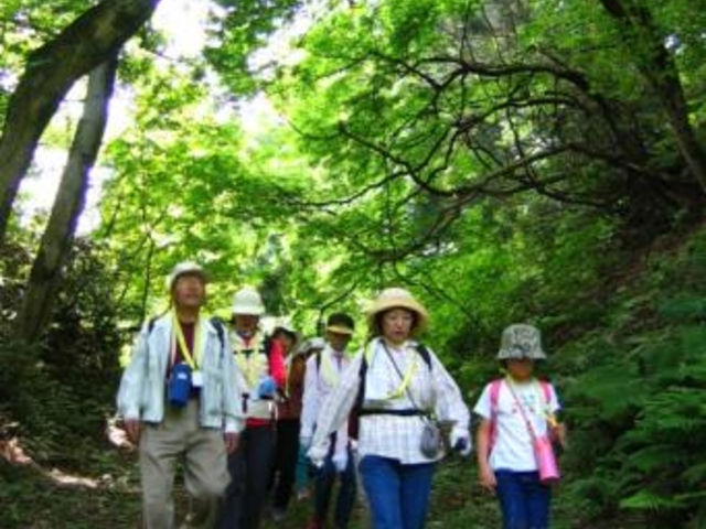 山陰道蒲生峠越-歴史の道-の写真1