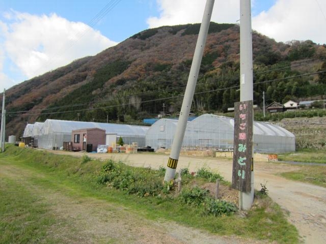 いちご園みどりの写真1