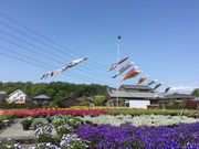 山田花園の写真1