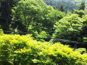 やどり温泉 いやしの湯の写真4