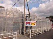 にっこりいちご園の写真2