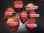 いちご家おおもりの写真3