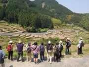 森林セラピーの写真1