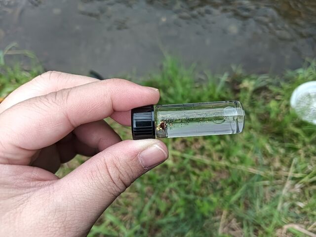 砂金_ペーチャン川砂金掘体験場