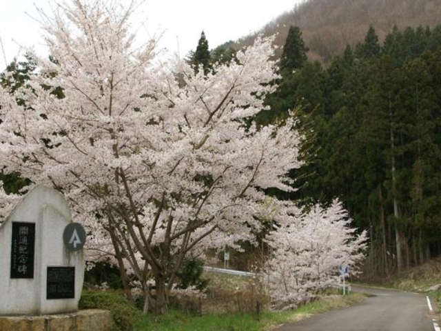 七ツ森林道