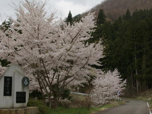 七ツ森林道